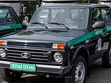 Лесная охрана Челябинской области обновила свой автопарк