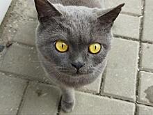 В Курске 10 марта без осадков, 11 марта пройдет обещают дождь, а 12 марта - снег