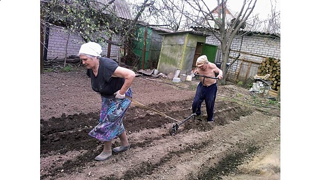 Если у тебя есть огород, то на пособие по бедности ты претендовать не можешь, — так считают чиновники в некоторых регионах России