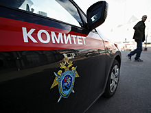 Правоохранительные органы разрабатывают проект новой статьи за налоговое мошенничество