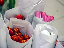 Российские звезды поздравили женщин с 8 марта