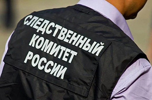 СКР заочно обвинил еще 47 иностранцев за участие в боях на Украине