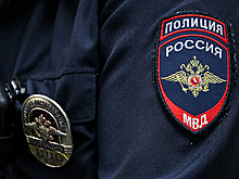 Двух мужчин арестовали за поджог электричек в Подмосковье