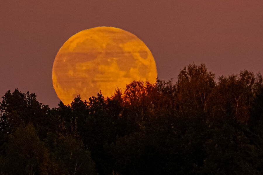Будущие власти ФРГ захотели отправить немецкого астронавта на Луну