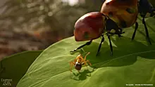 Анонсирована фотореалистичная стратегия в реальном времени о муравьях
