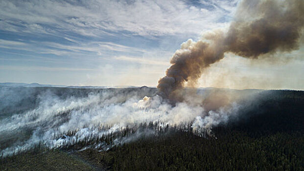 В МЧС сообщили об очагах природных пожаров