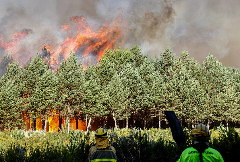 Пожарные тушат лесной пожар недалеко от города Кастромиль в провинции Самора, Испания, 15 августа 2025 года