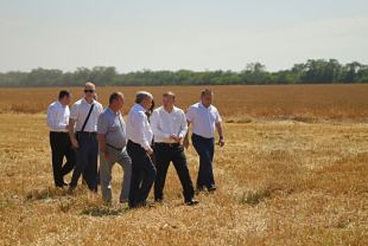 Аграрии Адыгеи рассчитывают на высокий урожай озимых