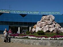 Памятник Ростиславу Шило в новосибирском зоопарке установят в мае