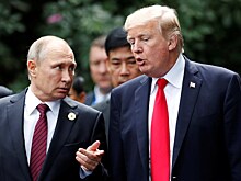 Трамп заявил о готовности встретиться с Путиным в Париже