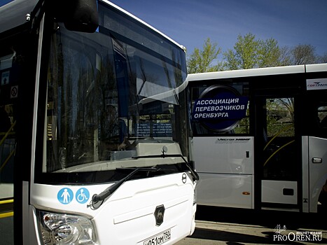 В Оренбурге идет противостояние двух перевозчиков