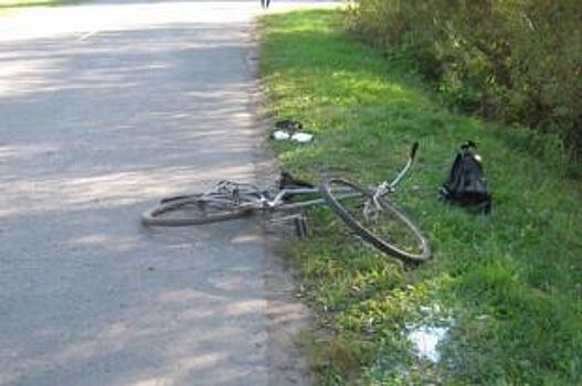 Под Тамбовом сбили 12-летнюю велосипедистку