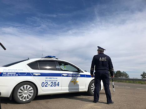 В Благовещенске нетрезвый агрессивный водитель отправился под суд за оскорбление сотрудников ДПС