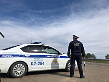 В Благовещенске нетрезвый агрессивный водитель отправился под суд за оскорбление сотрудников ДПС