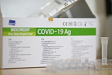 За сутки коронавирусом заразились 255 жителей Волгоградской области
