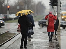 В Волгоградской области работодатели стали реже сокращать сотрудников