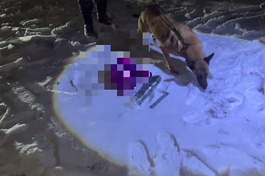 Крупную партию героина изъяли полицейские у рецидивиста-наркозакладчика