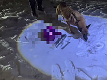 Крупную партию героина изъяли полицейские у рецидивиста-наркозакладчика