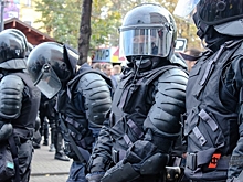 ОМОН забрал хищника у блогера из Сургута после скандала: «Я воюю за своего льва»