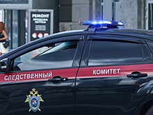 СК возбудил дело в отношении коуча Инны Тлиашиновой