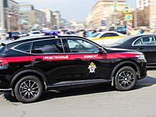 Бастрыкин взял на контроль дело о проблемной многоэтажке в Звенигороде