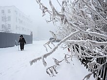 В российском городе женщина поскользнулась на замерзших фекалиях и сломала руку