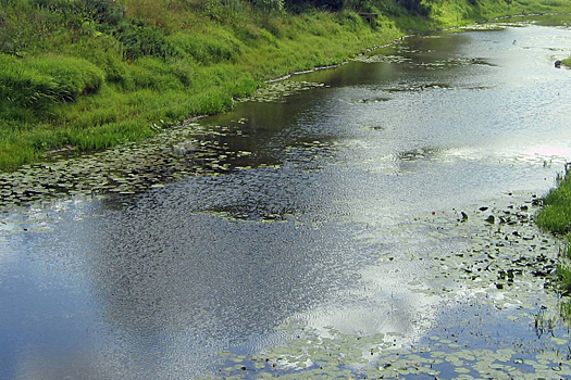 Инфекционист рассказал, можно ли купаться в речке в августе