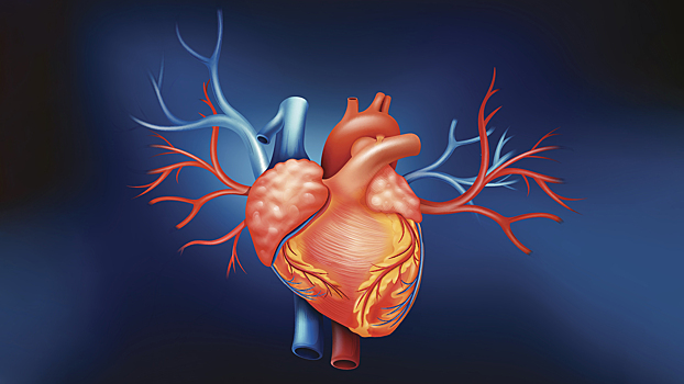 7 мифов о гипертензии, которые могут стоить вам здоровья