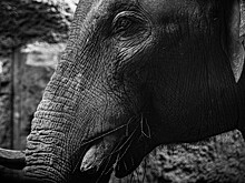 Какой праздник отмечается 22 сентября