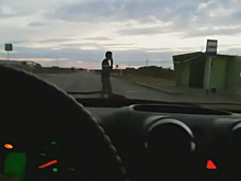 Какой нужен автомобильный сигнал, чтобы пешеходы шли быстрее – угарное видео