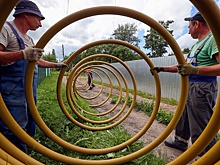 Депутат ГД рассказал, как стать собственником заброшенного участка рядом с дачей