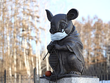 Сбор втулок от туалетной бумаги ради процветания науки объявили в Новосибирске