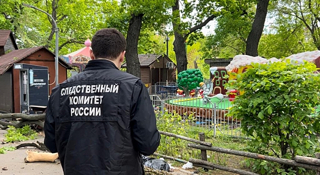 В саратовском парке рухнувший дуб убил девочку и пенсионерку