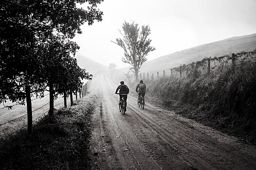 Три красноярца пострадали в массовом ДТП с велосипедистами-подростками