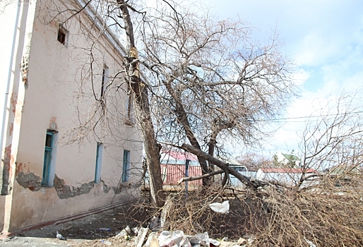 Вчерашний ветер, разнесший половину Омска, был таким же сильным, как ураган «Леня»