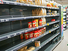 Пустые прилавки в московских магазинах объяснили