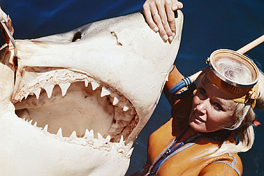 Бесстрашная женщина всю жизнь плавала с самыми опасными акулами. Ей 86, и она все еще ныряет