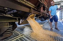 Пять стран ЕС требуют продлить запрет импорта зерна с Украины