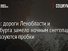 Видео: дороги Ленобласти и Петербурга замело ночным снегопадом – образуются пробки