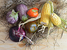 Ввоз в Россию импортных овощей сократился более чем в два раза