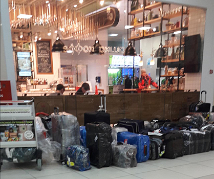 «В Толмачёво багажный коллапс»: пассажиры из Москвы больше часа не могли получить свои чемоданы