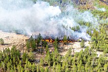 Новое требование к комплектации лесной техники может помешать тушить пожары