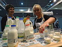 «Продают воздух»: Экономист заявил о потере интереса россиян к йогуртам из-за дороговизны