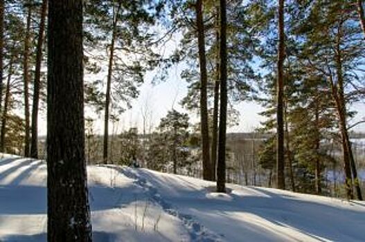 Инвестиции – в гору. В Сургутском районе воссоздадут древнее городище