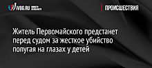 Житель Первомайского предстанет перед судом за жесткое убийство попугая на глазах у детей