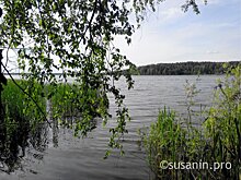 С начала 2019 года на водных объектах Удмуртии утонуло 43 человека