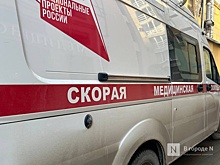 Житель Нижегородской области подцепил энцефалит от клеща