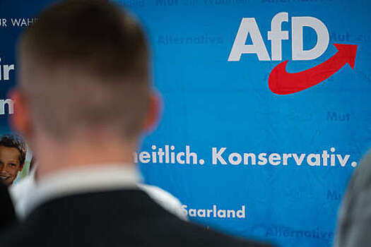 РБК: в бундестаге обсудили меры по запрету партии "Альтернативы для Германии"
