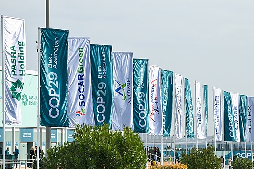Участники форума COP29 рассказали о роли Китая в борьбе с глобальным потеплением