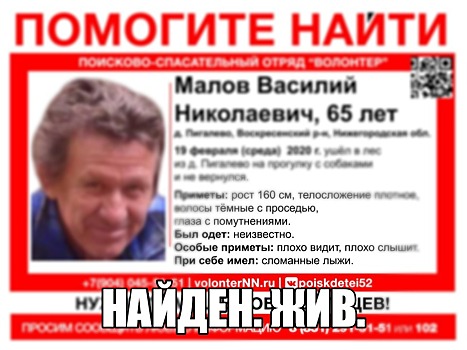 Найден пенсионер Василий Малов, пропавший в Воскресенском районе